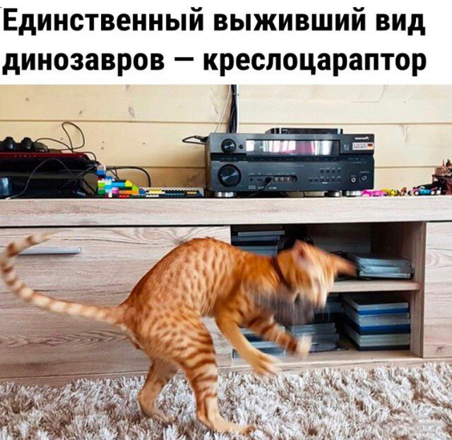 Единственный выживший вид динозавров креспоцараптор