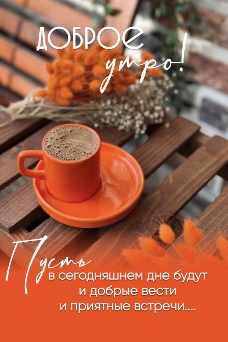 в сегодняшнем дне будут и добрые вести и приятные встречи