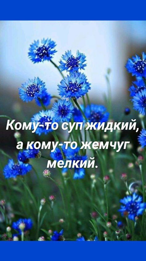 Кому іо сэу дкий а кому тб нйчуг мелкий _ в о О ц