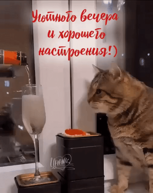 идейной бегает и хорошей