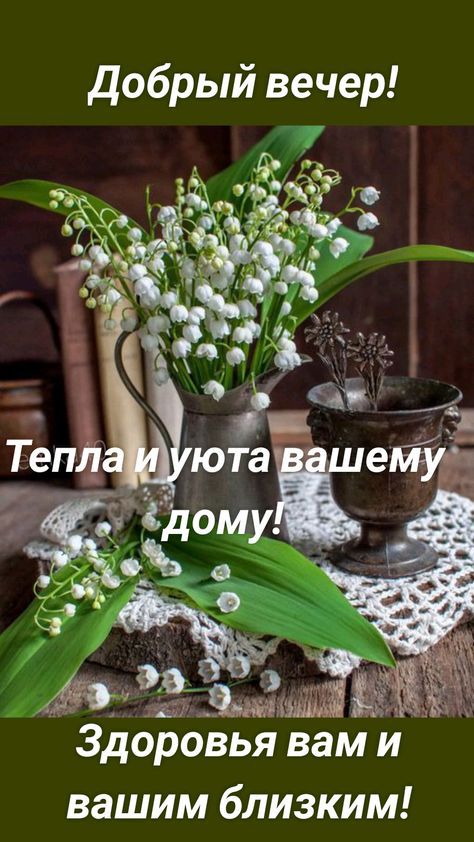 добрый вечер Здоровья вам и вашим близким