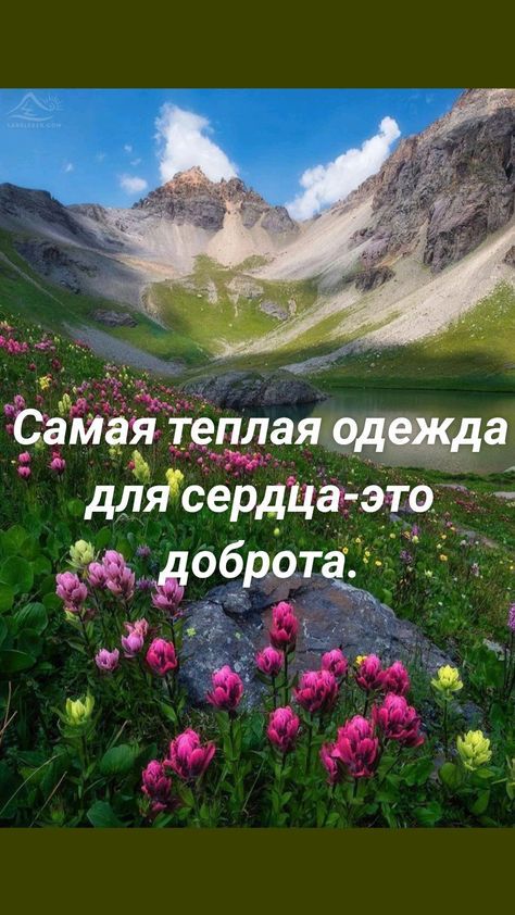 9 доброта _ 9 йд9 ль 0