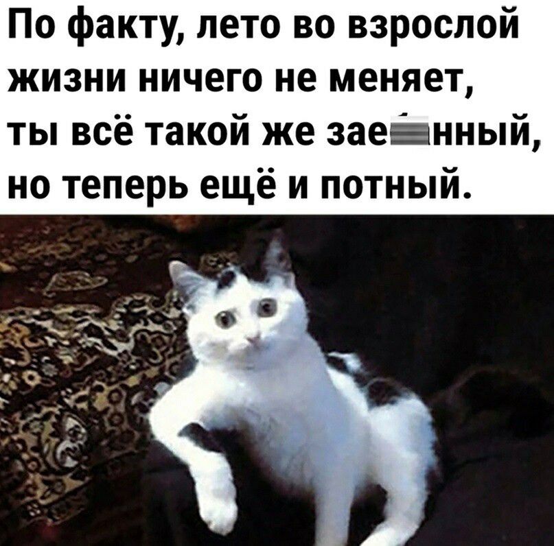 По факту лето во взрослой жизни ничего не меняет ты всё такой же заеЁнный но теперь ещё и потный