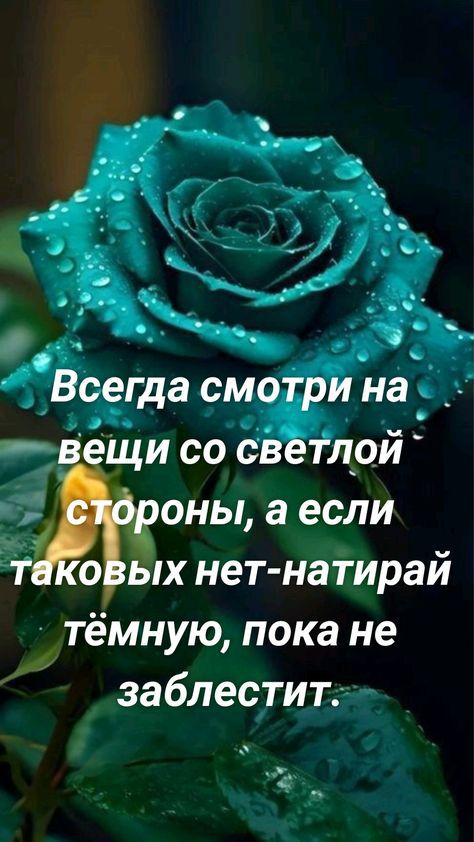 тёмную пока не заблестип 3 1