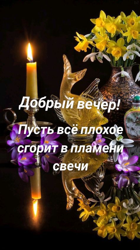 м дфбрый ведёт чепаёё Щ ЁТК В ПЛ свечи