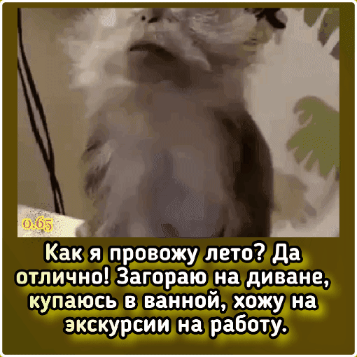 н_а_диване хэдъна работуд ВЗННОИ мы ёораю провожу отлично 3 ХРЗШЬНЁ ЭКСК купаюсь в _ Как я