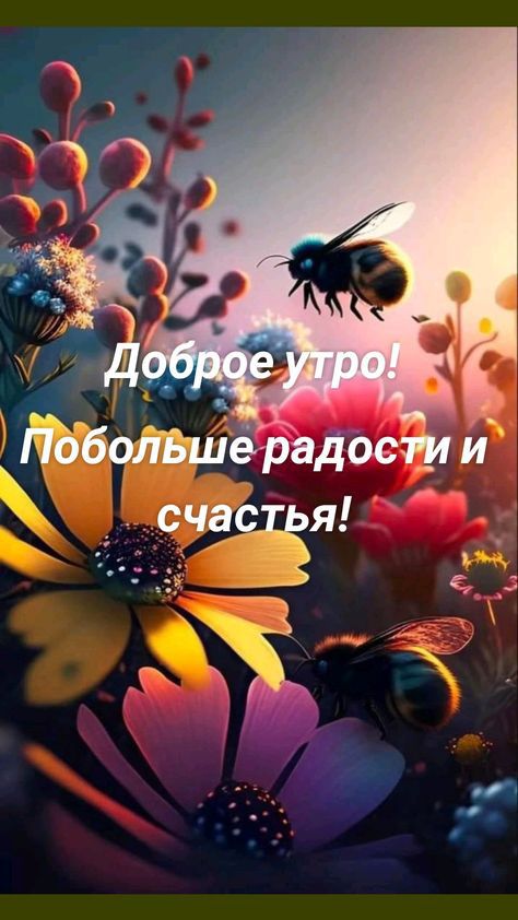 Побоіівш адост и счас я