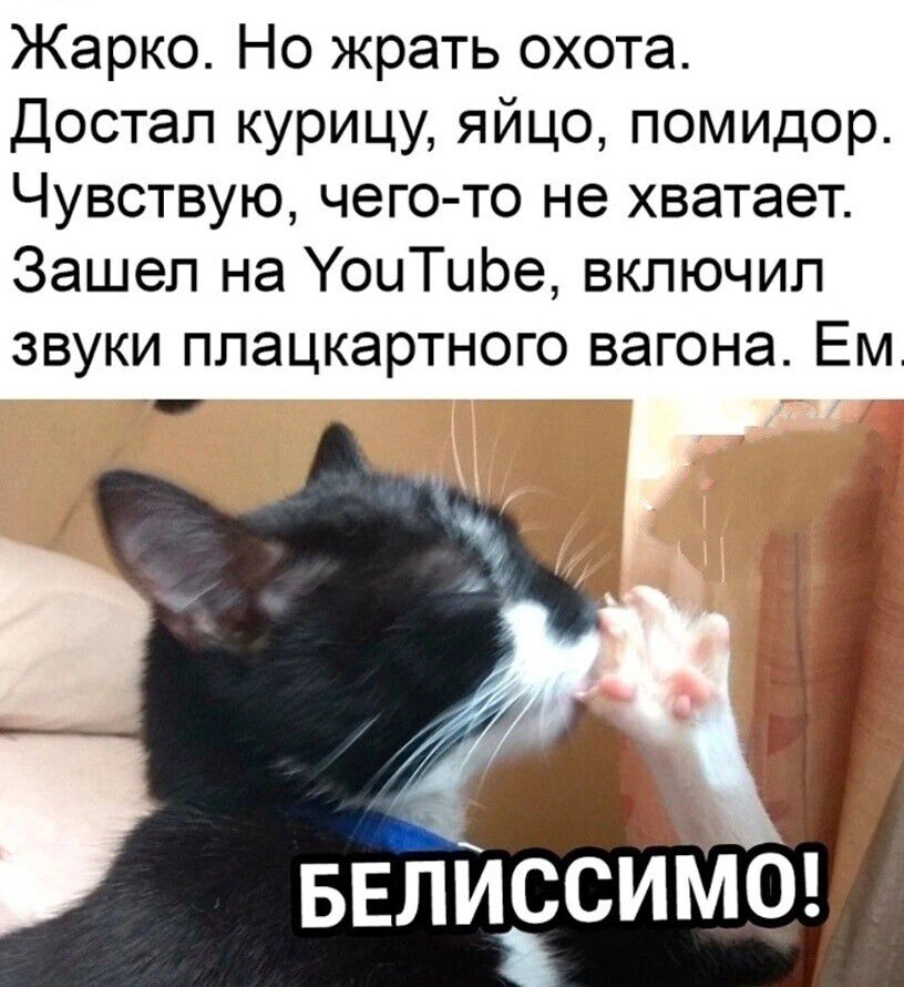 Жарко Но жрать охота Достал курицу яйцо помидор Чувствую чего то не хватает Зашел на УоиТиЬе включил звуки плацкартного вагона Ем ызлілссимб