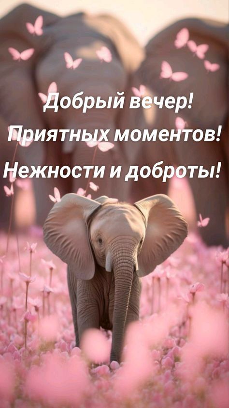 и Добрый дчер Пдиятнцмомеъгов Нежности и доб ты М