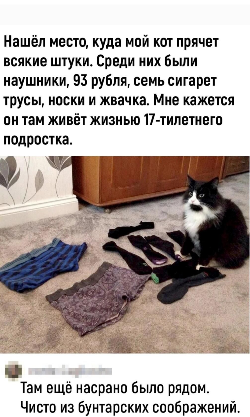 Нашёл место куда мой кот прячет всякие штуки Среди них были наушники 93 рубля семь сигарет трусы носки и жвачка Мне кажется он там живёт жизнью 17 типетнего подростка Шь Там ещё насрано было рядом Чисто из бунтарских соображений