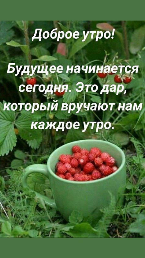 доброе 53 на чиінрёдёд сегодшлрто дёр іютррый вручают нам ЁЁ каждое утрт