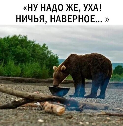 НУ НАДО ЖЕ УХА НИЧЬЯ НАВЕРНОЕ
