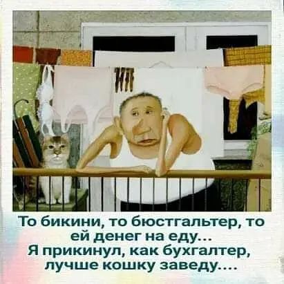 То бикини то бюстгальтер то ей денег на еду Я прикинул как бухгалтер лучше кошку заведу