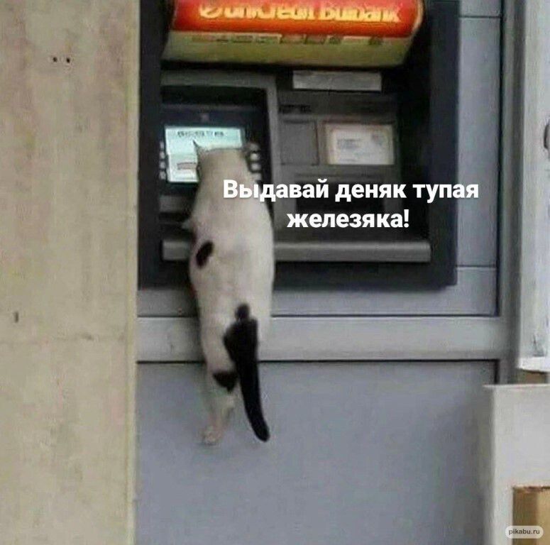 й деияк жшезяка