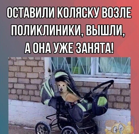 ПСТАВИЛИ КОЛЯСКУ ВПЗЛЕ ППЛИКЛИНИКИ ВЫШЛИ А ПНА УЖЕ ЗАННТА