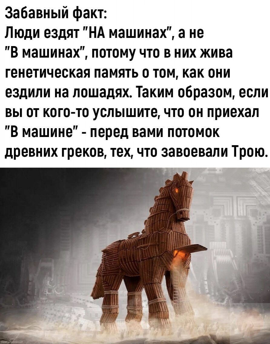 Забавный факт Люди ездят НА машинах а не в машинах потому что в них жива генетическая память о том как они ездили на лошадях Таким образом если вы от кого то услышите что он приехал в машине перед вами потомок древних греков тех что завоевали Трою