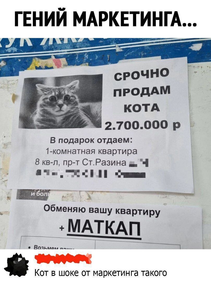 ГЕНИЙ МАРКЕТИНГА продАМ котд 2100ооо р _ В подарок отдаем 1 комнатная квартира 8 штл пр т СтРазина _ _ _ __ обменяю вашу квартиру н Кот в шоке от маркегинга такого