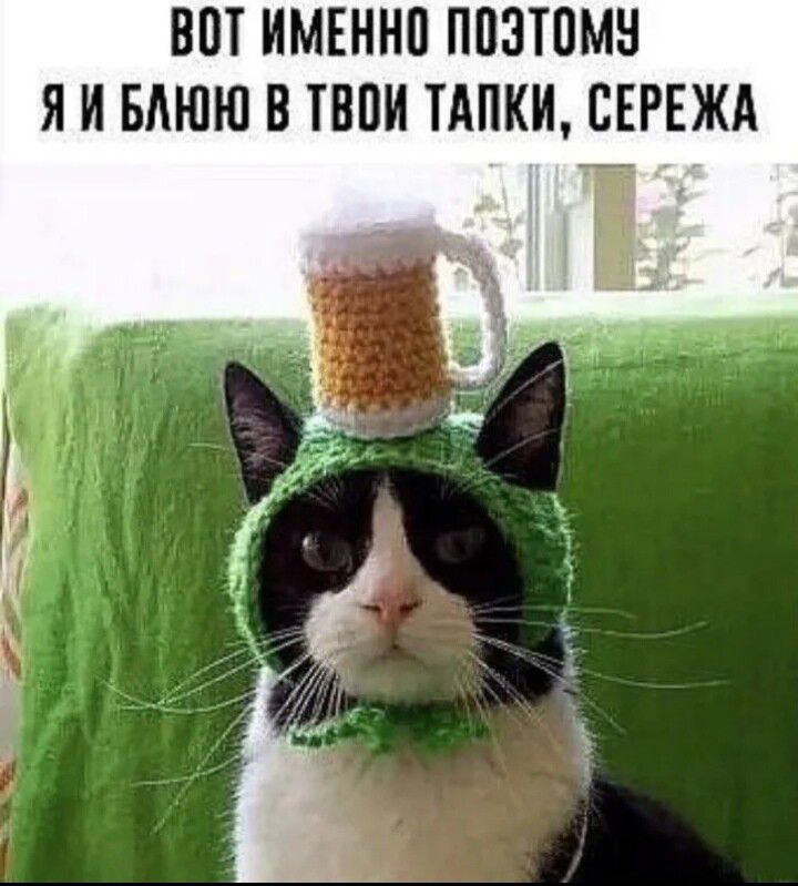 ВПТ ИМЕННП ППЗТПМН Я И БАЮЮ В ТВПИ ТАНКИ СЕРЕЖА