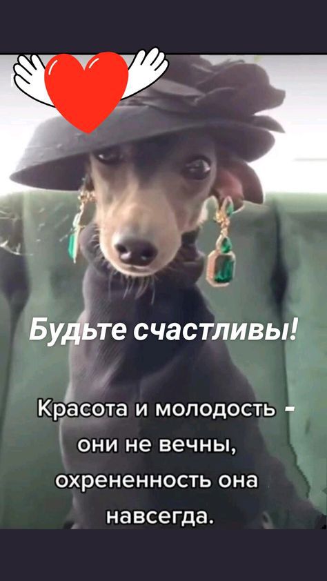 Бу те счастливы Кеасота и молодость они не вечны охрененность она НЭВСЭГДЭ