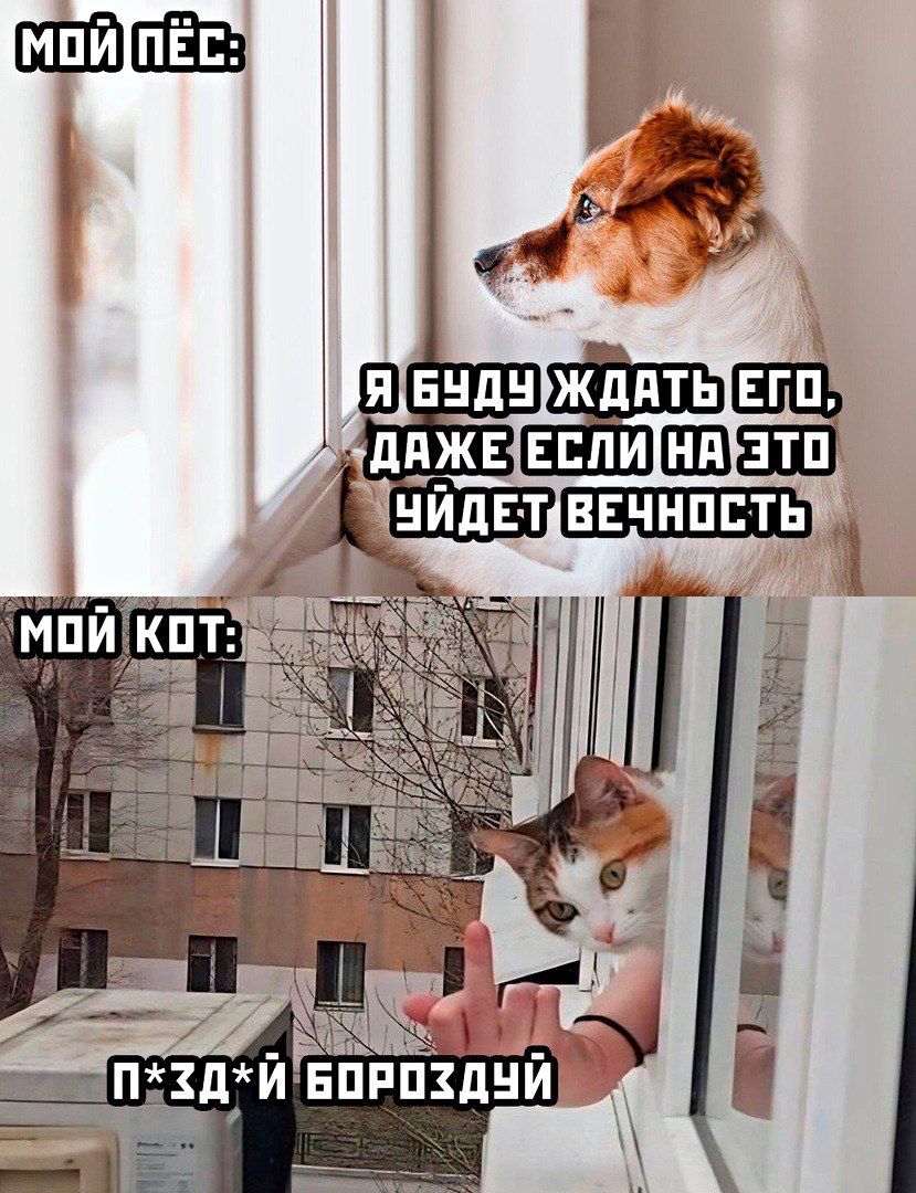 к
