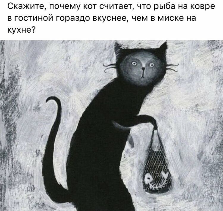 Скажите почему кот считает что рыба на ковре гостиной гораздо вкуснее чем в миске на кухне