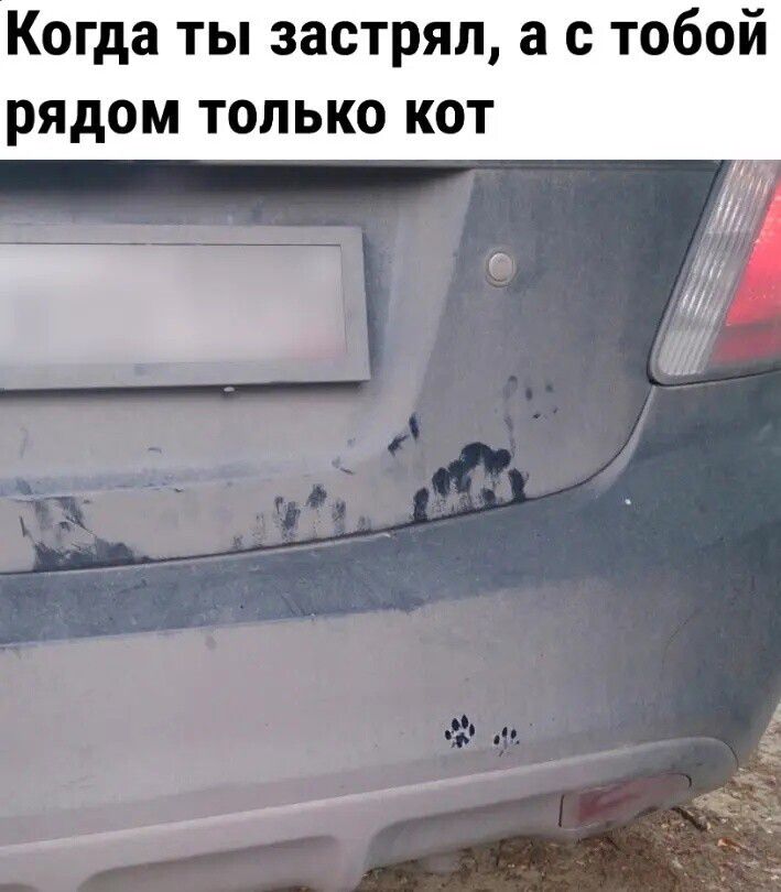 Когда ты застрял с тобои рядом ТОЛЬКО КОТ _
