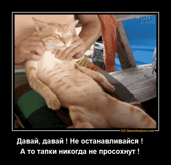 давай давай Не останавливайся А то тапки никогда не приохнуг