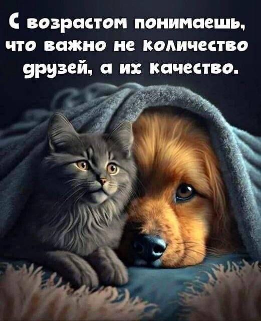 С возрастом понимаешь что важно не количество урузей их Качество
