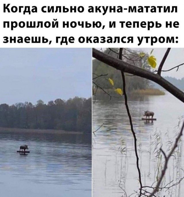 Когда СИЛЬНО аКУНЗ МЗТЗТИП ПРОШЛОЙ НОЧЬЮ И теперь не знаешь где ОКВЗВПСЯ УТРОМ