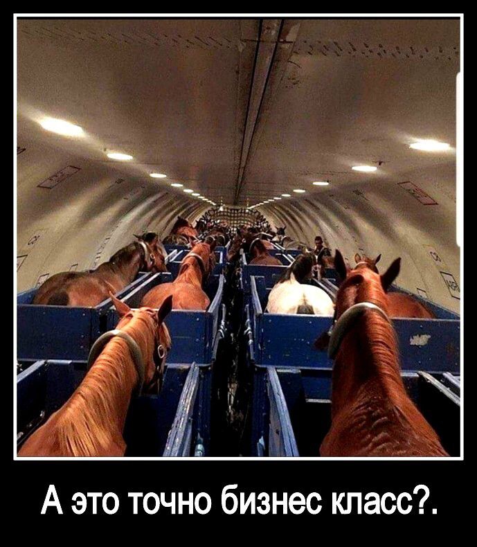 А это точно бизнес класс