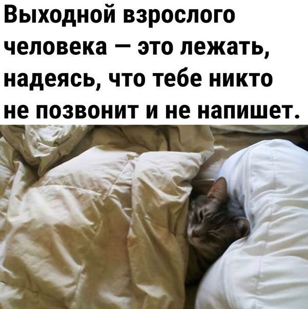 Выходной взрослого человека это лежать надеясь что тебе никто не дозвонит и не напишет