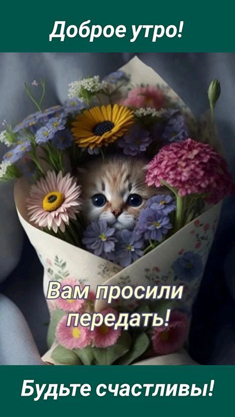 доброе утро Будьте счастливы
