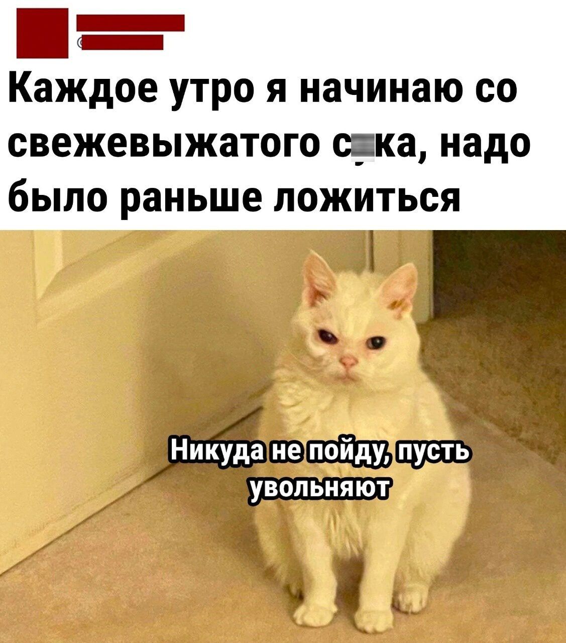 _ Каждое утро я начинаю со свежевыжатого така надо было раньше ложиться
