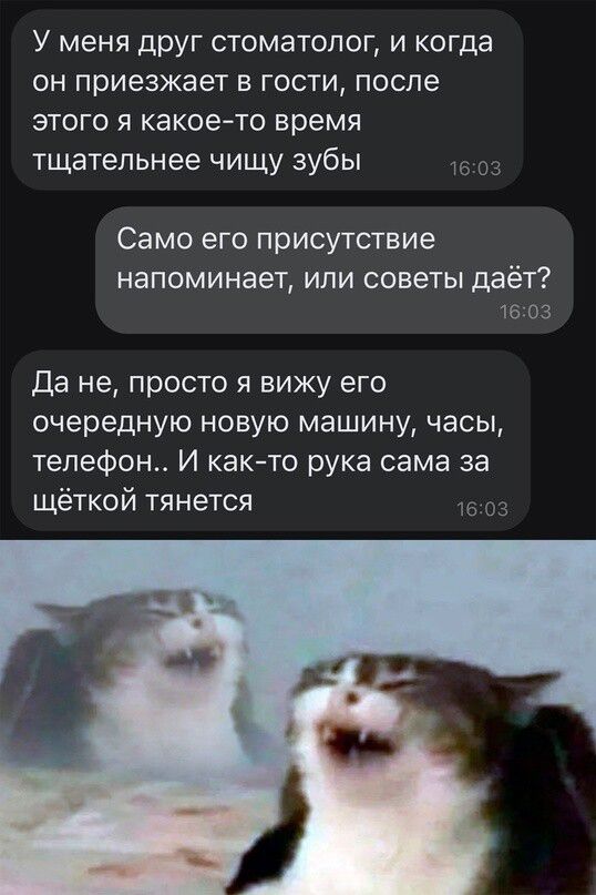 У меня друг стоматолог и когда он приезжает в гости после этого я какоето время тщательнее чищу зубы Само его присутствие напоминает ИЛИ советы даёт 16 оз Да не просто я вижу его очередную новую машину часы телефон И както рука сама за щёткой тянется