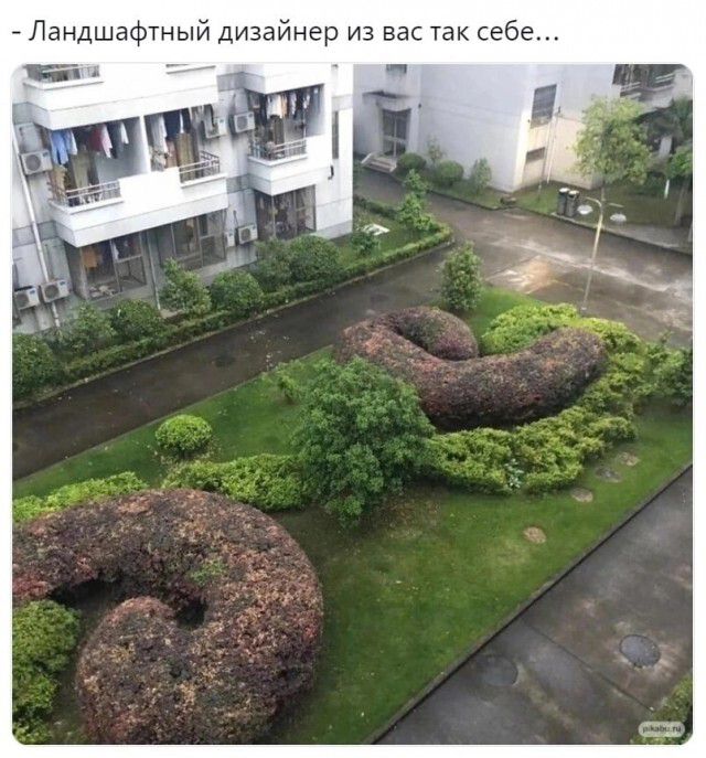 Ландшафтный дизайнер из вас так себе