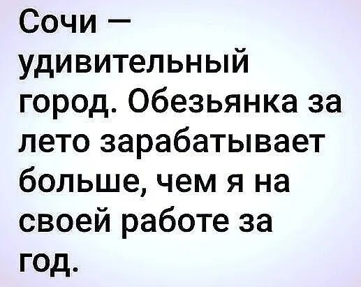 Сочи удивительный город Обезьянка за лето зарабатывает больше чем я на своей работе за год