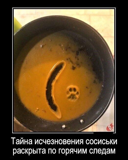 Тайна исчезновения сосиськи раскрыта по горячим следам