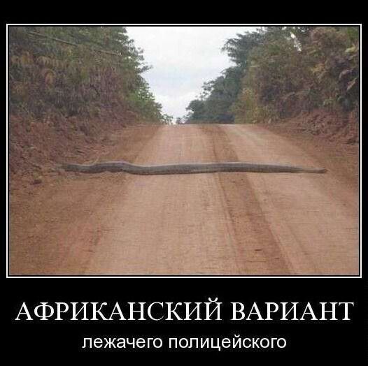 АФРИКАНСКИЙ ВАРИАНТ лежачего ПОПИЦВЙСКОГО