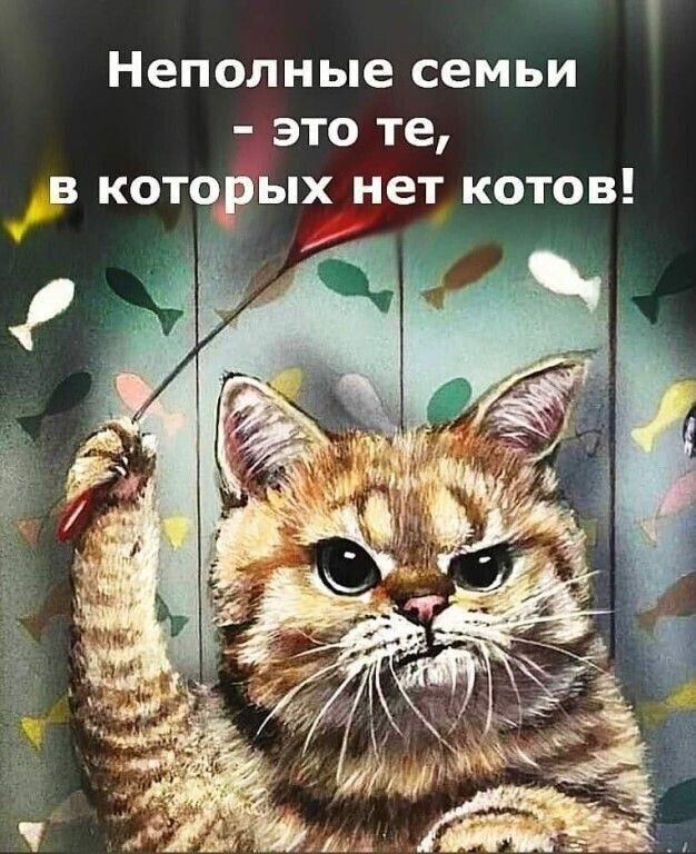 Неполные семьи это те в которых нет котов