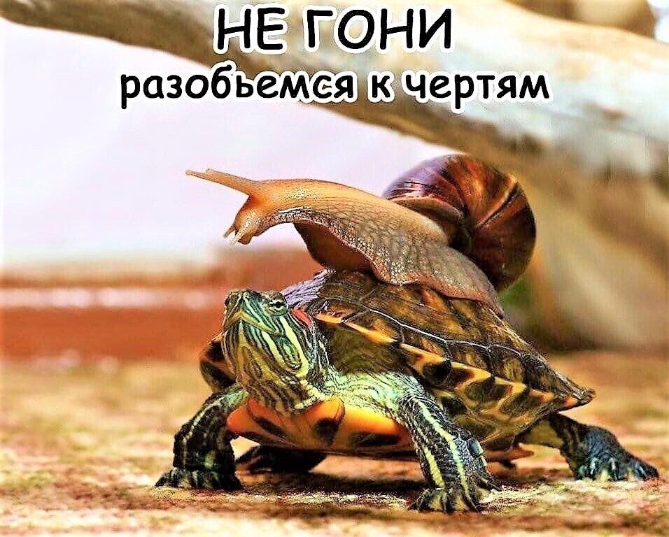 разобьеМеЪ к чертям іЁгони