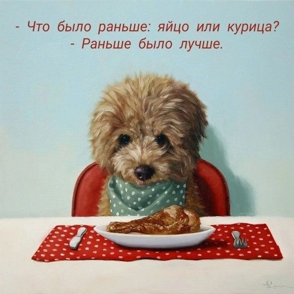 Что было раньше яйцо или курица Раньше было лучше