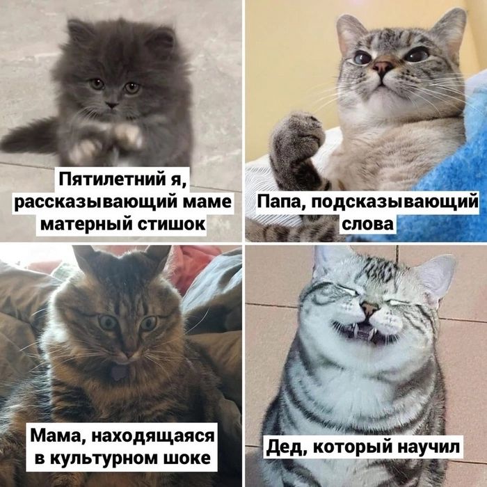 Пятилетний я _ рассказы дающий маме папа подсіёзы ающий матриый стишок глава Мам находящаяся _