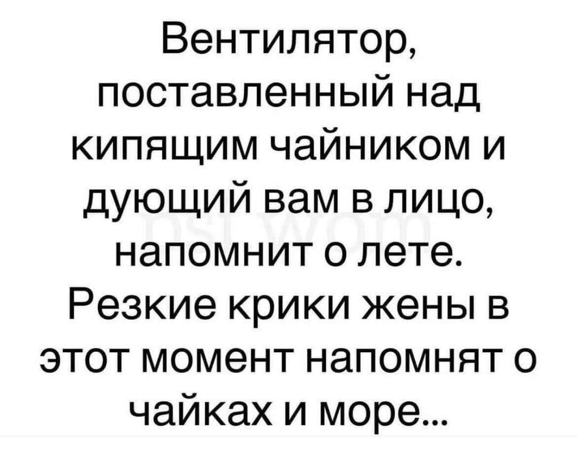 Вентилятор поставленный над кипящим чайником и дующий вам в лицо напомнит о лете Резкие крики жены в этот момент напомнят о чайках и море