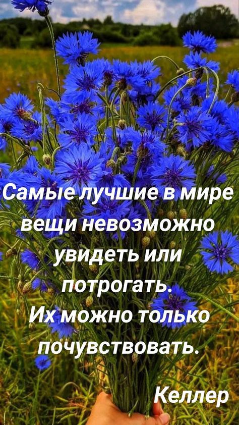 Самыё лучшие в мире Вещй невозмоЖно УвИдеть или _ Аотрогать Ё Их мажно толькб_1 пбЧувствовать А 13 А Г