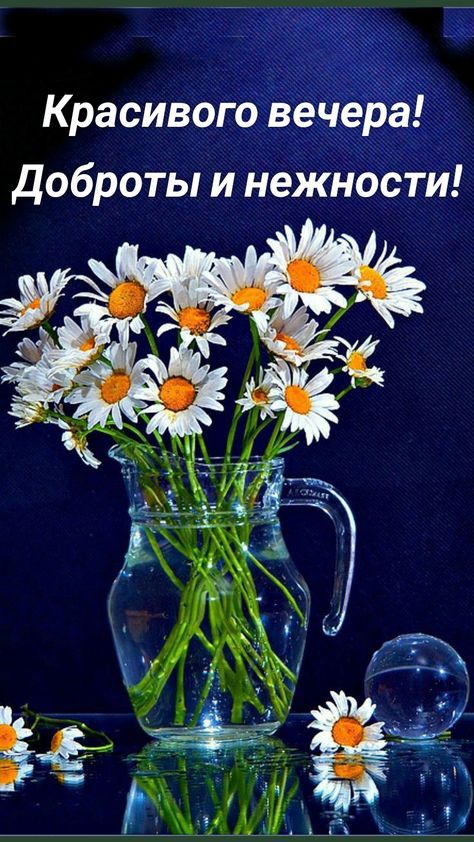 Красивого Доброты и нежности
