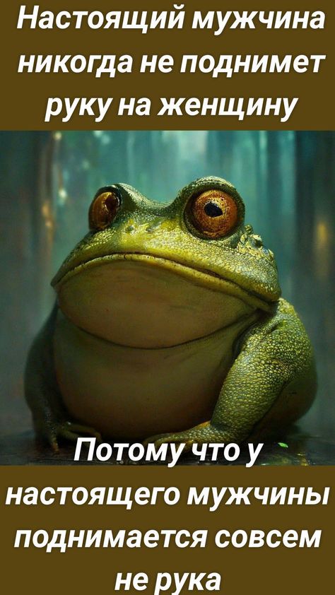 Настоящий мужчина никогда не поднимет руку на женщину Потому что у_ настоящего мужчины поднимается совсем не рука