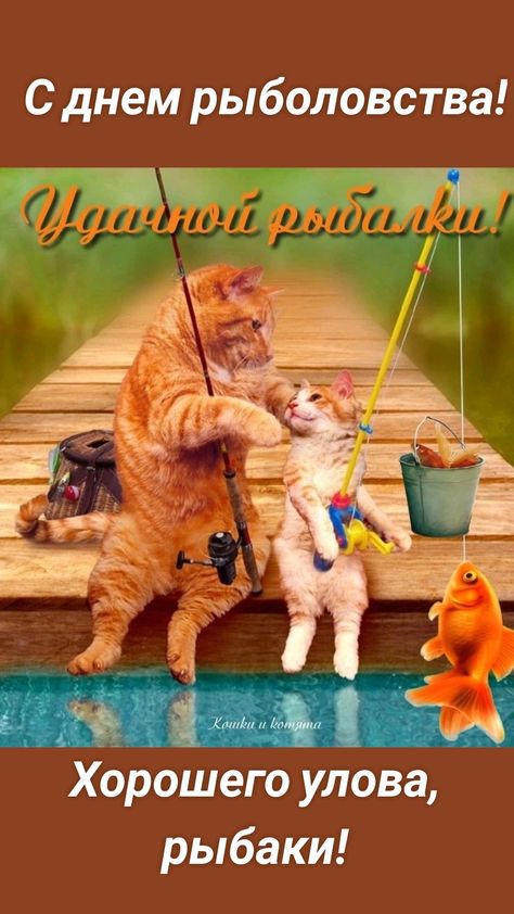 с днем рыболовства Хорошего улова рыбаки