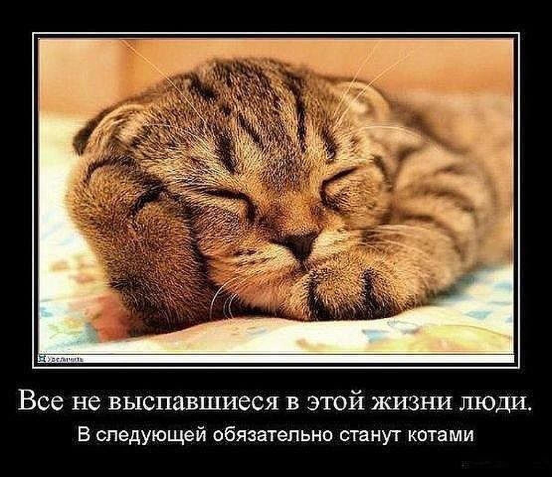 Все не ВЫСПЗВШИССЯ В ЭТОЙ 1 Люди в следующей обязательно станут каими