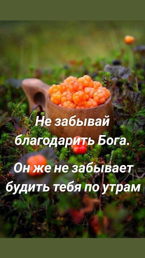 05 не забывает будить тебя по утрам