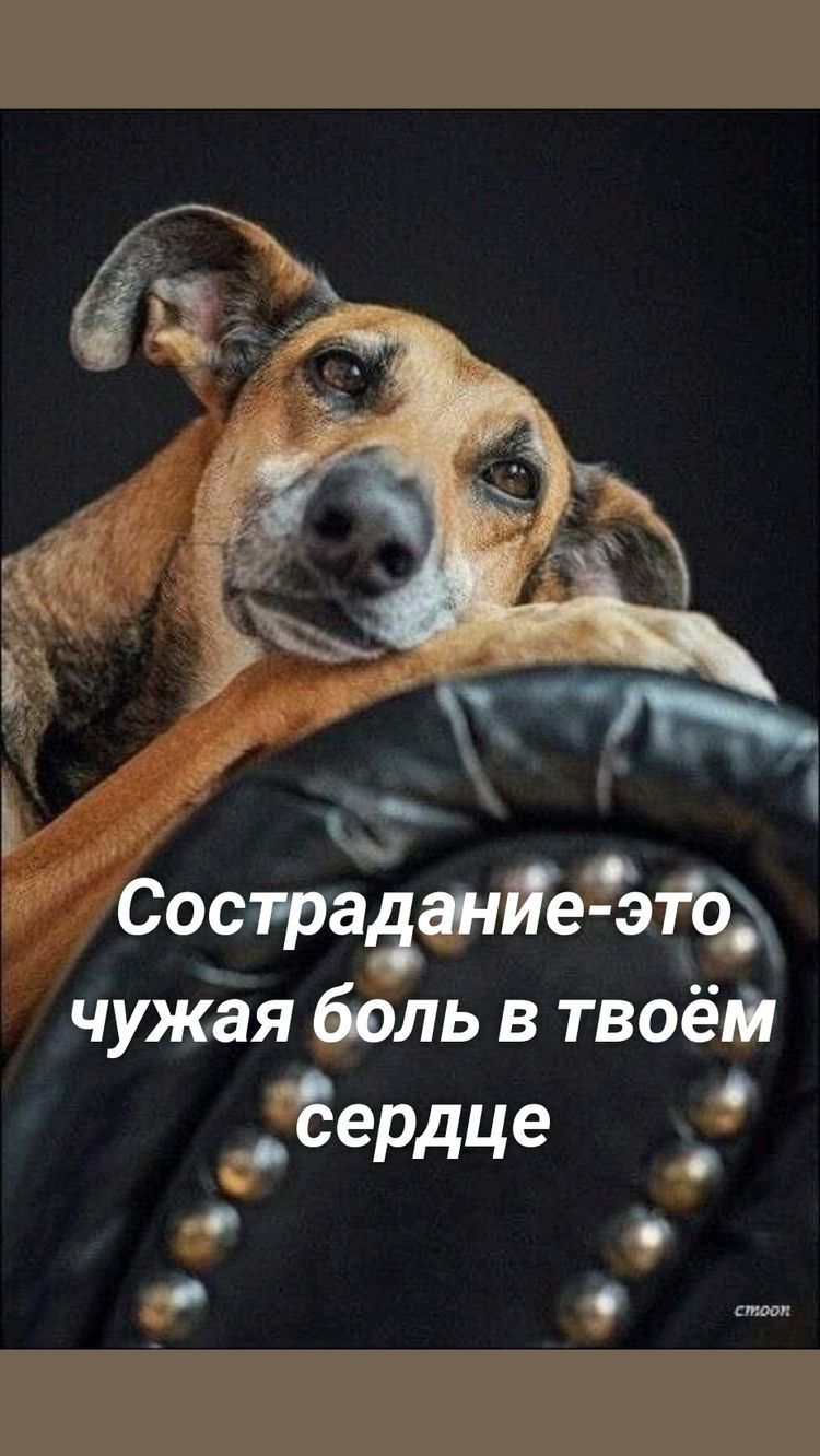 С Состраашйезётод чуЖая боль в твоём ЁеРдце о о
